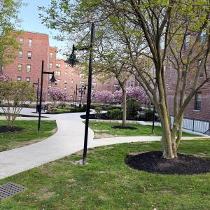 a street light next to a tree in a park at Welcome to New Rochelle Studio in New Rochelle