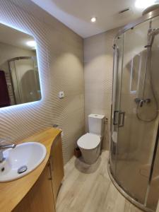 a bathroom with a toilet and a sink and a shower at Face a la mer in Courseulles-sur-Mer