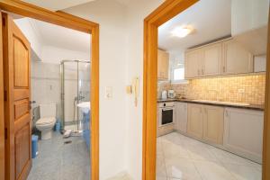 a kitchen with a sink and a toilet in a room at Irene Luxury Apartments in Metaxáta +20 photos