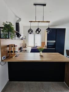 Kuchyň nebo kuchyňský kout v ubytování Apartman Ivan