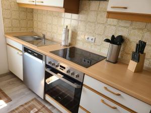 Kuchyň nebo kuchyňský kout v ubytování Ferienwohnung am Südhang + 12 fotografií
