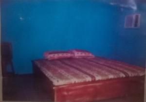 伊巴丹Hotel de vasco的蓝色房间里的一张红色的床，上面铺着一条红色的毯子