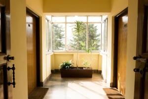 Foto Katmandus asuva majutusasutuse Swayambhu View Guest House galeriist