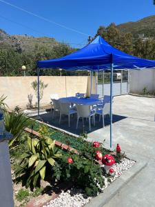 a blue table and chairs under a blue umbrella at Qetësia Borsh in Borsh