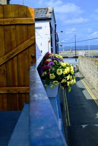 a bunch of flowers in a pot on a ledge at Apartment Wexford Crescent Mall in Wexford