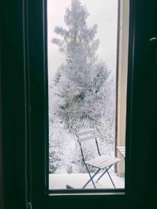 Miko II trong mùa đông