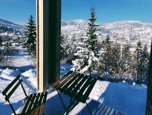 Miko II trong mùa đông +64 ảnh