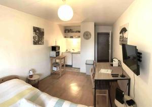 a room with a bed and a desk with a computer at Studio ARBOLES in Chambéry