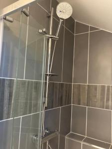 a shower with a shower head in a bathroom at Cillarney Lakeview Loft Apartment in Killarney