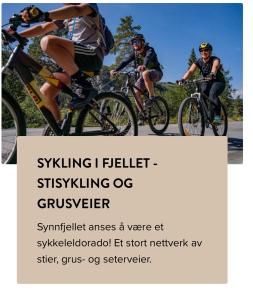 three people riding bikes down a road at Leilighet til leie på Synnfjellet in Lii