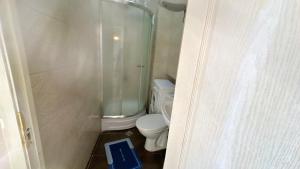 Un pequeño baño con inodoro y ducha. en Cloudy Tbilisi Apartment, en Tiflis