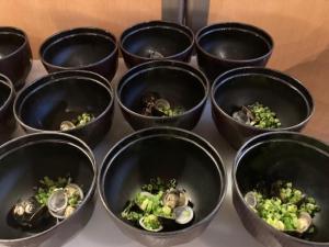 Imagen de la galería de Green Rich Hotel Matsue Ekimae, en Matsue