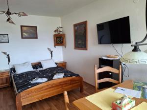 TV a/nebo společenská místnost v ubytování Apartma mit Seeblick