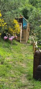 three pink flamingos standing in the grass near a cabin at Glamping Castel Dell'Aquila in Gragnola