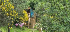 a small cabin in the woods with pink flamingos in front at Glamping Castel Dell'Aquila in Gragnola +64 photos