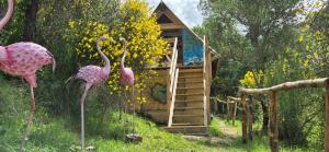 two pink flamingos standing in front of a building at Glamping Castel Dell'Aquila in Gragnola