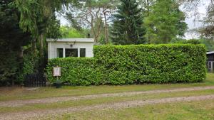 Zahrada ubytování Sfeervol chalet de Dassenburcht