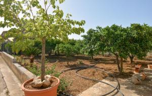 Κήπος έξω από το 2 Bedroom Lovely Home In Comiso