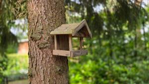Zahrada ubytování Sfeervol chalet de Dassenburcht