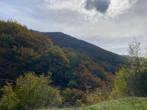 auliculiculiculiculiculiculiculiculiculiculiculiculiculiculic at La casa nel bosco-Val Granara guesthouse in Filettino Graziani