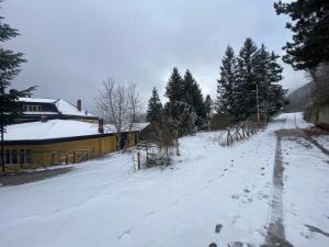 a snow covered road in front of a house at La casa nel bosco-Val Granara guesthouse in Filettino Graziani +49 photos
