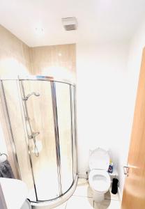 a bathroom with a shower and a toilet at Seaview Hideway - Abnb in Portstewart +9 photos