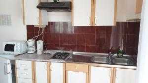 Kuchyň nebo kuchyňský kout v ubytování Apartments Tea
