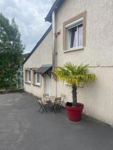 a patio with chairs and a plant in front of a building at Le feuillu Bogny-sur-Meuse in Braux