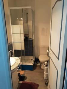a bathroom with a shower and a toilet and a sink at Studio confortable à Dolus-d'Oléron 26 m² avec piscine in Dolus-d'Oléron