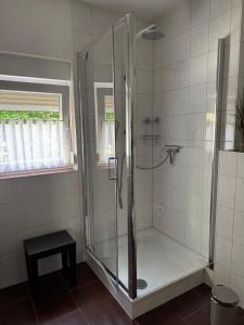 a shower with a glass door in a bathroom at Ferienhaus Schülke in Buckow