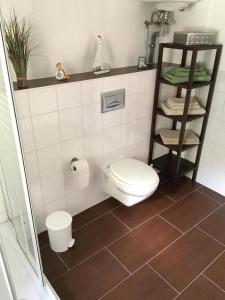 a bathroom with a toilet and a shelf at Ferienhaus Schülke in Buckow +4 photos