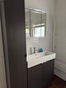 a bathroom with a white sink and a mirror at Ferienhaus Schülke in Buckow