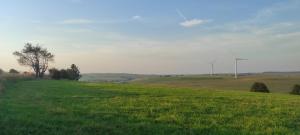 a field of green grass with two wind turbines at Horský penzion in Teplice