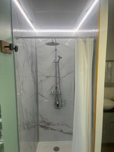 a bathroom with a shower with a shower curtain at Le feuillu Bogny-sur-Meuse in Braux