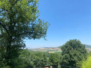 a view of trees and a blue sky at Agriturismo Tenute di Hera - Via Francigena in Acquapendente +52 photos