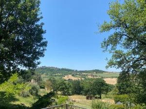 a view of a field from between two trees at Agriturismo Tenute di Hera - Via Francigena in Acquapendente