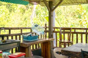 a plastic bottle sitting on a table on a deck at Mesari Cottage Guest House in Pabean Buleleng