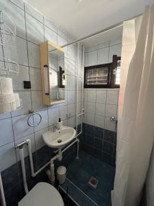 a small bathroom with a sink and a toilet at Hibiscus Apartman in Balatonfenyves