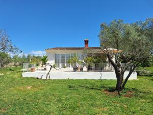 a house with a tree in front of it at Villa Elizej in Fažana