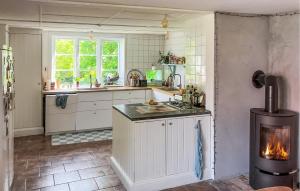 A cozinha ou cozinha compacta de Pet Friendly Home In Löderup With Wifi