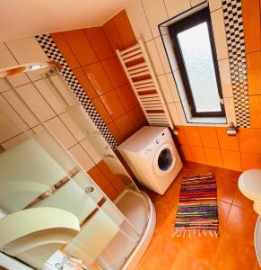 ein Badezimmer mit Toilette und Waschmaschine in der Unterkunft Casa cristina in Gura Humorului
