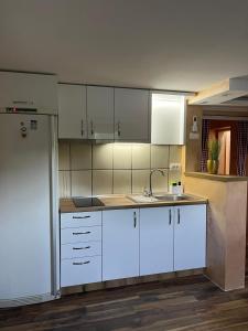a kitchen with white cabinets and a sink at Vikend house Cvrcak in Slankamenački Vinogradi