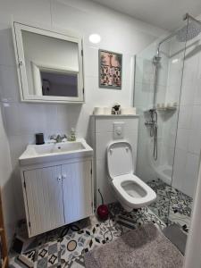 a bathroom with a toilet and a sink and a shower at Apartment Mirna in Baška Voda +18 photos