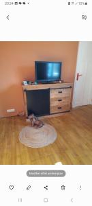 Un perro acostado sobre una alfombra frente a un televisor. en Les roses à la plage, en Veules-les-Roses