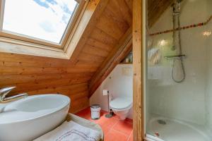 a bathroom with a sink and a shower and a toilet at Auberge Passoud 203 in Vaujany