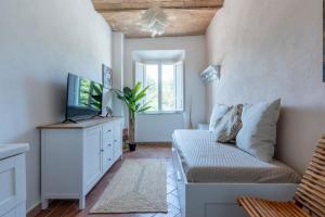 Μια τηλεόραση ή/και κέντρο ψυχαγωγίας στο Aruna House - Toscana OneHH