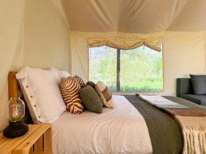 Photo de la galerie de l'établissement Boho Park Glamping, à Zawiszyn 25 autres photos