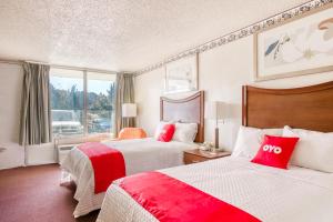 ピーターズバーグにあるTravelers Inn By OYO, Templeton VAのベッドが2つと窓があるホテルの部屋