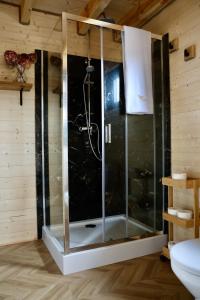 a shower with a glass enclosure in a room at Żurawia Ostoja Dom z Jacuzzi i Sauną in Tyłowo +36 photos