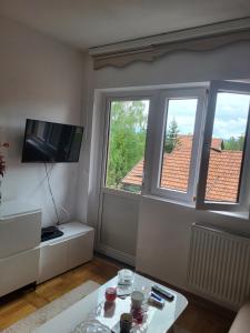 TV a/nebo společenská místnost v ubytování Apartman Stašenka